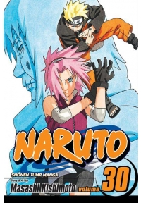 Naruto, Volume 30