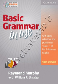Basic Grammar In Use Third Edition