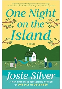 One Night on the Island