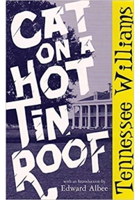 Cat on a Hot Tin Roof