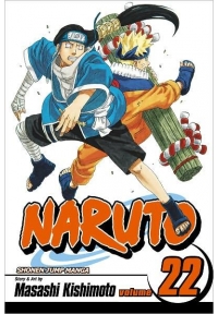 Naruto, Volume 22: Comrades