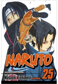 Naruto, Volume 25: Brothers