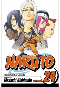 Naruto, Volume 24: Unorthodox