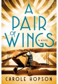 A Pair of Wings