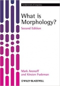 What is Morphology