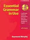 Essential Grammar In Use Second Edition