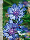 Understanding Syntax (Third Edition)