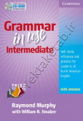 Grammar In Use Intermediate Third Edition