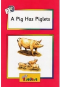 Jolly Reader A Pig Has Piglets