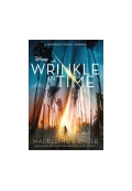 A Wrinkle in Time