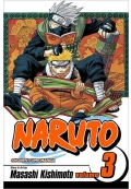 Naruto, Volume 3: Dreams