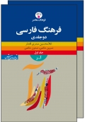 فرهنگ فارسی دوجلدی