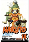 Naruto, Volume 14